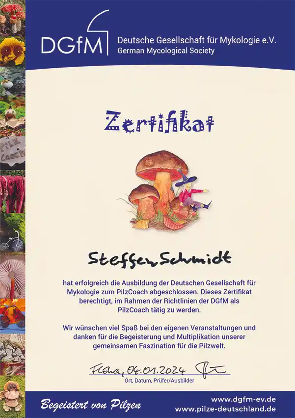 Zertifikat von Steffen Schmidt als PilzCoach der DGfM