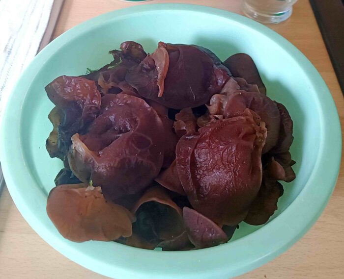 Auricularia auricula-judae – Judasohr, 650 g Judasohren, fertig zum Trocknen