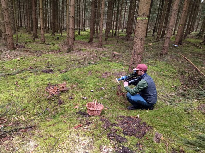 Hygrophorus marzuolus – Märzschneckling, das MDR-Fernsehen beim Dreh mit der Pilzschule-Vogtland im April 2024