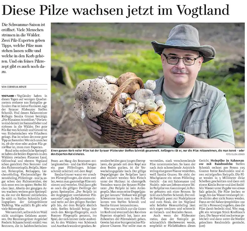 Freie-Presse-Plauener-Zeitung-12.08.2025